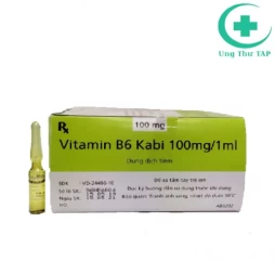 Vitamin B6 Kabi 100mg/1ml - Thuốc điều trị thiếu vitamin B6